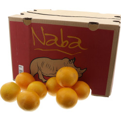 BIO ORANGE VALENCIA 6KG